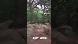 호룡곡산 너무 좋은데~#등산유튜버 #등산 #산행 #무의도 #호룡곡산