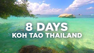 The Best 8 Days Itinerary in Koh Tao Thailand Travel Guide