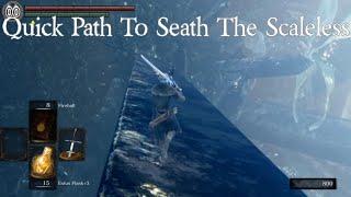 Quick Path To Seath The Scaleless - Duke's Archives & Crystal Caves DARK SOULS REMASTERED