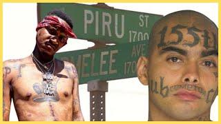 10 Most Dangerous Gangs in W/S Compton