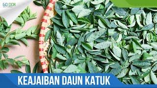 Khasiat mujarab daun katuk yang belum Anda ketahui / Go Dok Indonesia