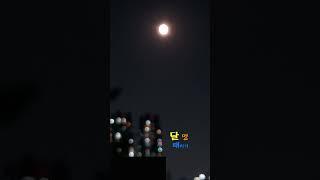 명상-도시의 달 멍 때리기. Meditation - Looking at the City Moon