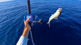 First Drop Keeper - Offshore Fishing And The Best Tuna and Mahi Mahi CATCH and COOK!!
