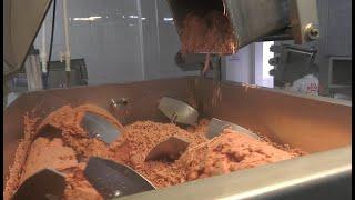 Meat factory production process - Made in Kosova