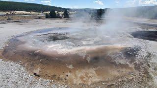 ️ Avoca Geyser: The Mystical Burst of Yellowstone! #mystery