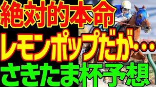 【レモンポップは鉄板だが…】さきたま杯は2、3着を予想するレース！！イグナイターかシャマルかサンライズホークかタガノビューティか！？2024年さきたま杯予想動画【私の競馬論】【競馬ゆっくり】