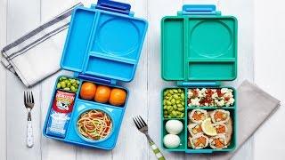 Lunch Box With Insulated Thermos