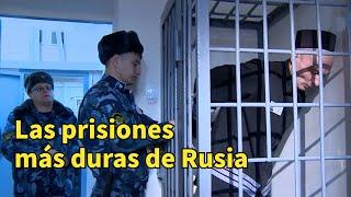 Las prisiones más duras de Rusia|Recopilación-Delfín negro, La Isla del fuego, la de mujeres rusas