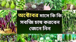 অক্টোবর মাসে কি কি সবজি চাষ করবেন দেখুন- শীতকালীন সবজি চাষ- Vegetables farming at Winter in October