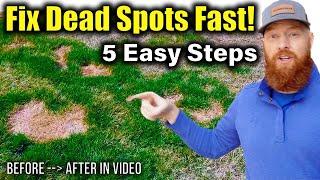 Repair dead patches in grass FAST!