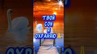 Очень Красивое пожелание Спокойной ночи  Сладких снов #спокойнойночи #добройночи