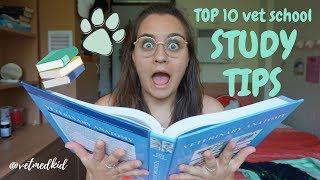 How to study for vet school | Top 10 study tips