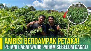 CATATAN PENTING ‼ WAJIB PAHAM SEBELUM MENGIKUTI METODE MAS UDIN