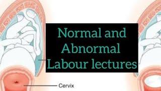 Normal and Abnormal labor lectures part 5, stages of labor #obs #tenteachers #obslectures #labor