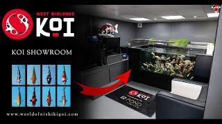 West Midlands Koi - Showroom Tour - Ez-Pond