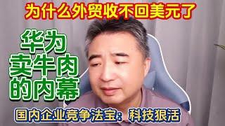 翟山鹰：为什么外贸收不回美元了 | 华为卖牛肉的内幕 | 三驾马车也拉不动了 | 国内企业竞争法宝：科技狠活