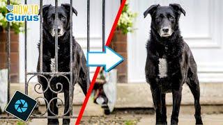How to REMOVE a FENCE with Photoshop Elements
