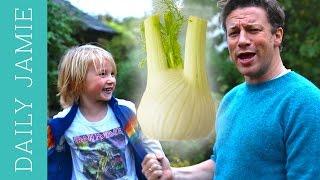 LET'S TALK ABOUT FENNEL! | Jamie Oliver