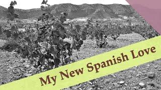 A New Spanish Winner: Because I Asked