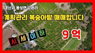 #만석꾼뉴스#용성면 고은리#공장창고 가능한 계획관리#복숭아밭매매