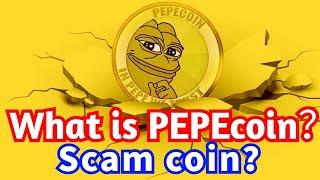 PEPEcoin is SCAM coin？？OMG！「币圈男神」｜87man｜比特币，以太坊，狗狗币｜加密货币