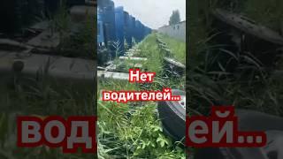 1 000 тягачей #дальнобойщики #дальнобой #грузоперевозки #водитель #фура #логистика #дорога #якутия