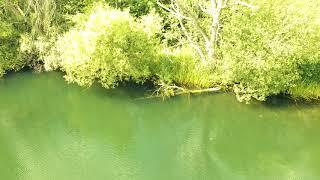 RK Leisure Drone Footage 2019 (Carp Fishing)