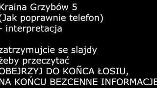 Kraina Grzybów 5  ODKRYCIE