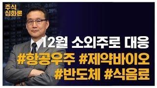 [주식심화론]12월 소외주로 대응 #항공우주 #제약바이오 #반도체 #식음료 #최택규