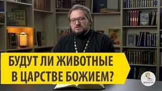 БУДУТ ЛИ ЖИВОТНЫЕ В ЦАРСТВЕ БОЖЬЕМ? Священник Владислав Береговой