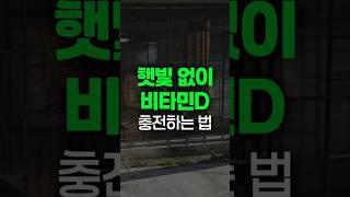햇빛 없이 비타민D를 충전할 수 있다?