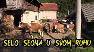 SELO SEONA U SVOM RUHU  (U POSJETI ROSTOVU)