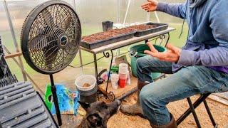 Sowing The FIRST TRAYS Of The New Season // Whitt Acres