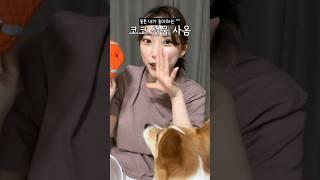 우주대스타코코를 위한(?) 닝겐의 선물ㅋㅋㅋ