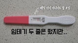 [시험관 둘째 기록] 피검사 결과 나왔어요.