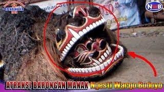 BARONGAN MANAK ATRAKSI NGESTI WARGO BUDOYO NEW2018