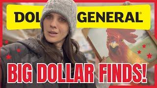 DOLLAR GENERAL SHOP WITH ME & HAUL | HIDDEN GEMS FOUND FOR A DOLLAR! | RUN TO GRAB THESE