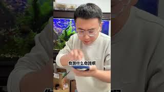 第一次用苹果是什么感受？