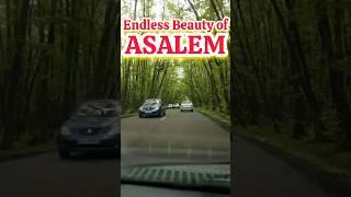 Endless Beauty of Asalem Road | Discover Iran's Most Dreamy Scenic drive