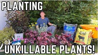 Planting INCREDIBLY LOW MAINTENANCE Shrubs and Perennials for Color!! | Joshua's Garden