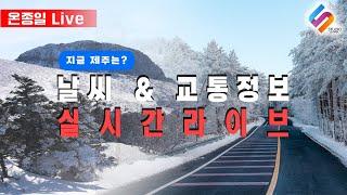 [ 온종일 LIVE ] 지금 제주는?, 날씨&교통정보 실시간 라이브