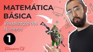 Visualização Numérica e Como Entender Matemática (Aula 1 - Matemática Básica)