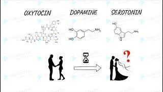 I love You With My Whole Brain: The Neuroscience of Love