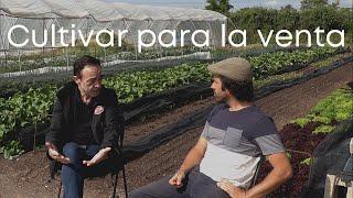 CULTIVA y VENDE | Charlando en la huerta con el frutero Javier Razola