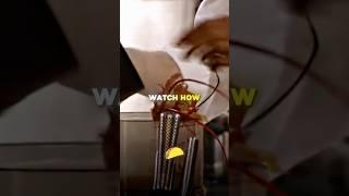 MasterChef Contestant Puts Lobster Inside Of Blender