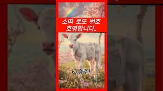 소띠 로또 번호 호명합니다.