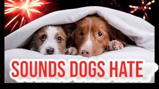 Sounds Dogs Hate PRANK YOUR DOG