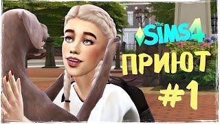 НОВАЯ ЖИЗНЬ ПИТОМЦЕВ - ПРИЮТ - the Sims 4