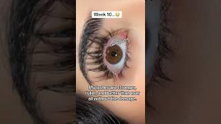 Watch my lash transformation using a natural lash serum! No hormones needed to grow your eyelashes