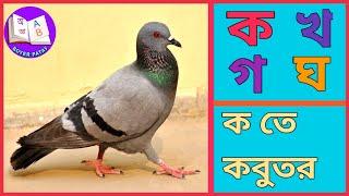 বাংলা বর্ণমালা | ক খ গ ঘ | Bengali Alphabets | Bangla Banjonborno